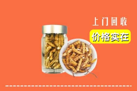 和顺县回收散虫草