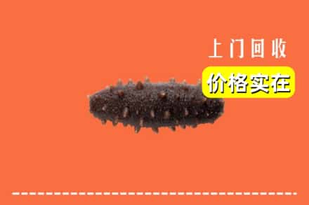 和顺县回收海参
