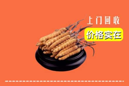 和顺县回收冬虫夏草